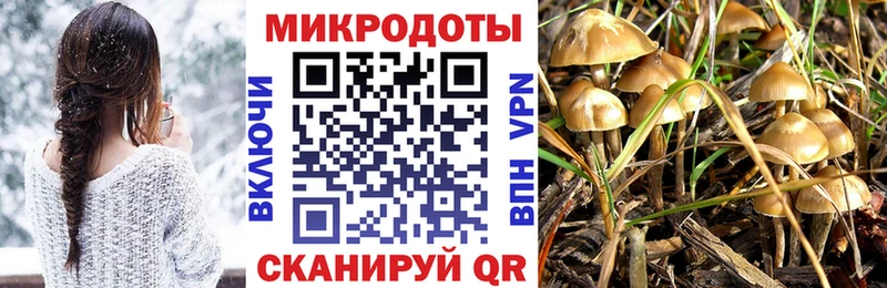 наркошоп  Торопец  блэк спрут ССЫЛКА  Псилоцибиновые грибы MAGIC MUSHROOMS 